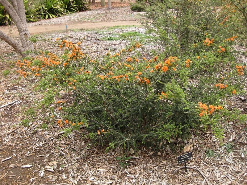 File:1280px-IMG 7288 hunt09jun.jpg