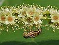 in Hyderabad, India.
