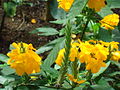 Thumbnail for version as of 10:21, 29 April 2025