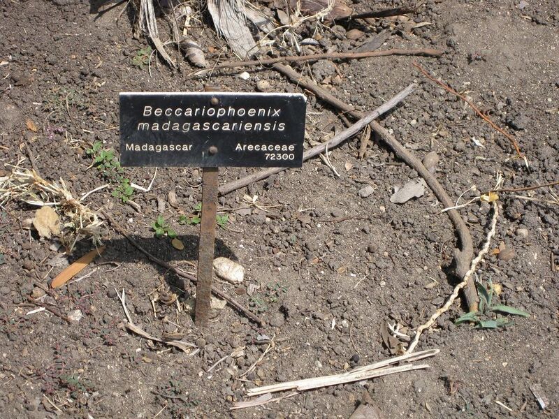 File:1024px-IMG 4163 hunt0904.jpg