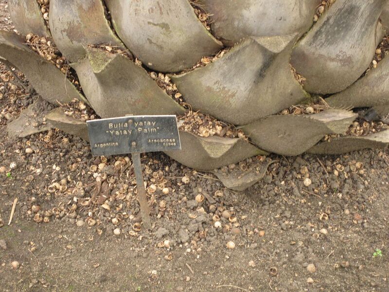 File:1280px-IMG 4055 hunt0904.jpg