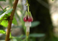 Thumbnail for version as of 21:23, 9 October 2008
