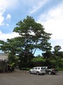 Thumbnail for version as of 19:57, 22 February 2010