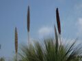 Thumbnail for version as of 09:19, 29 April 2025