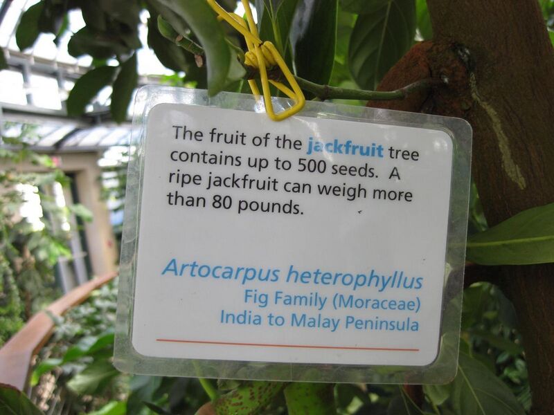 File:1280px-IMG 1778 hunt09oct.jpg