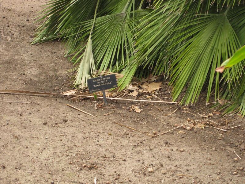 File:1280px-IMG 3946 hunt0904.jpg