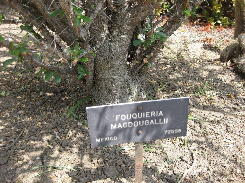 File:1280px-IMG 4248 hunt0904.jpg