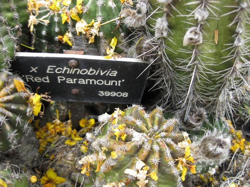 File:1280px-IMG 7392 hunt09jun.jpg