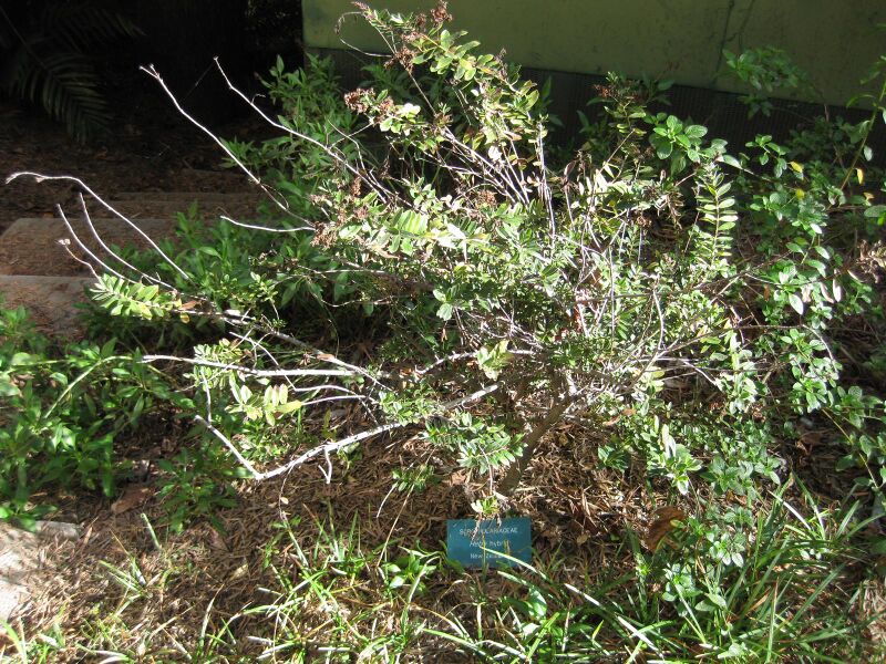 File:Be5bzi5icqtj8ohjb2ue0imcfidy19f.jpg