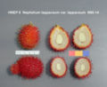 Fruits cut open