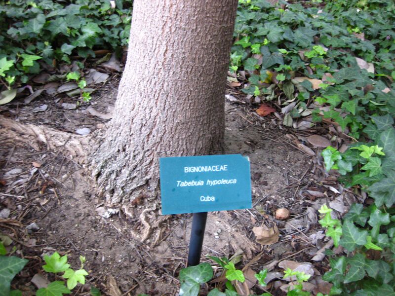 File:I1iwav08655jethrs9uc55hpkt0h0il.jpg