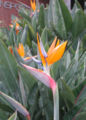 Thumbnail for version as of 18:14, 8 October 2008