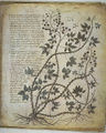 Thumbnail for version as of 04:14, 15 September 2007