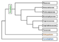 Thumbnail for version as of 09:14, 29 April 2025