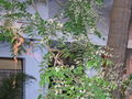 Thumbnail for version as of 08:45, 16 October 2007