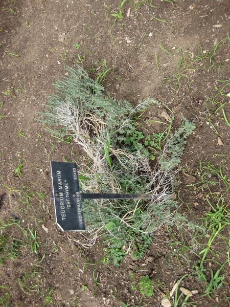 File:IMG 5247 hunt0904.jpg