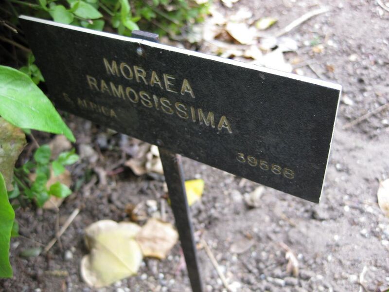 File:1280px-IMG 5134 hunt0904.jpg