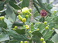 Thumbnail for version as of 10:03, 29 April 2025