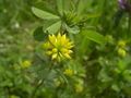 Thumbnail for version as of 06:41, 2 October 2007
