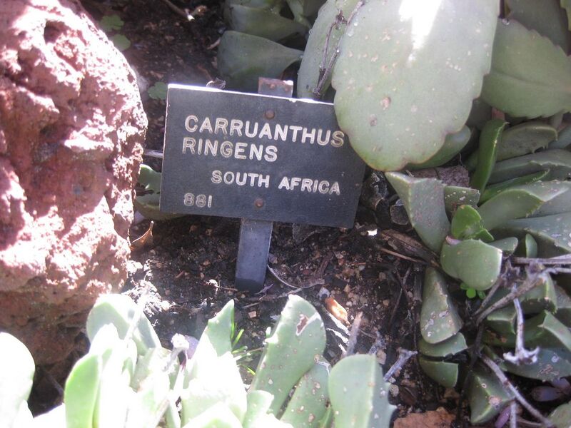 File:1280px-IMG 2140 hunt0903.jpg