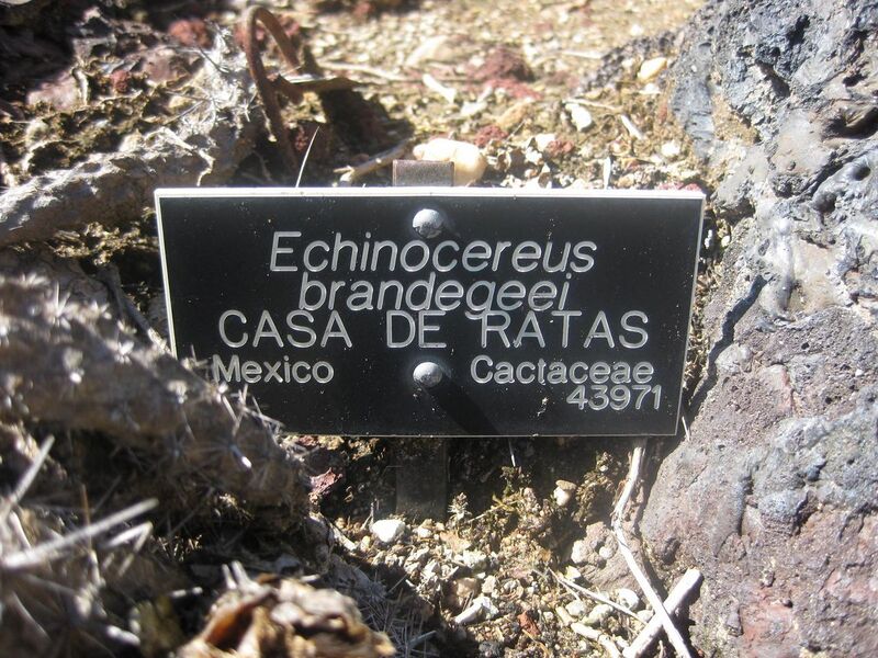 File:1280px-IMG 2420 hunt0903.jpg