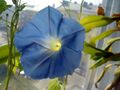Thumbnail for version as of 10:27, 29 April 2025