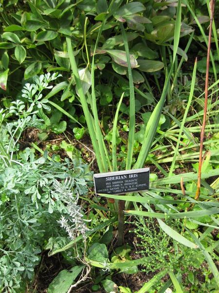 File:576px-IMG 0680 bbg09.jpg