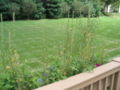 Thumbnail for version as of 06:40, 1 June 2007