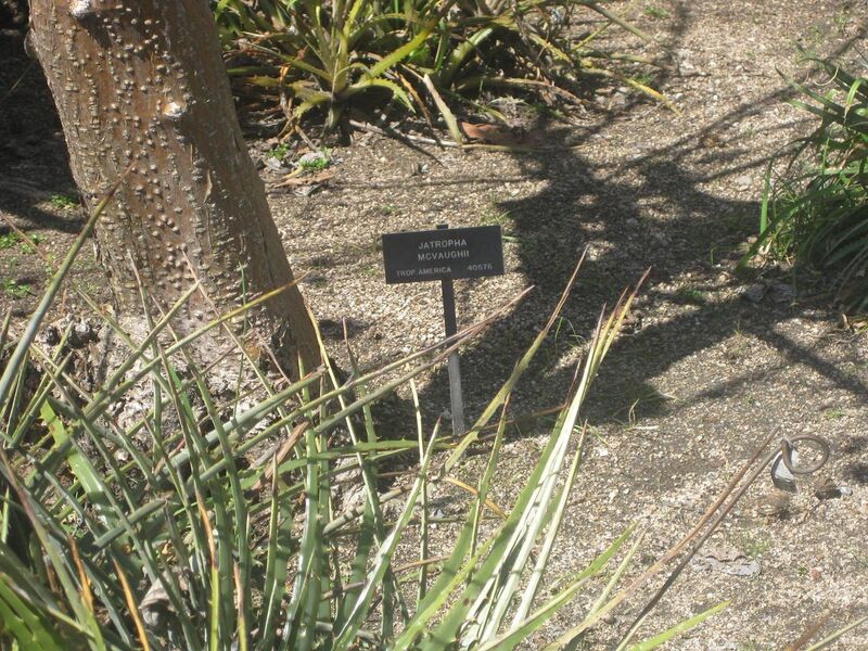 File:1280px-IMG 2250 hunt0903.jpg