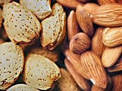 Almonds in and out of shell