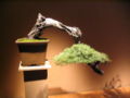 Thumbnail for version as of 15:13, 20 May 2007