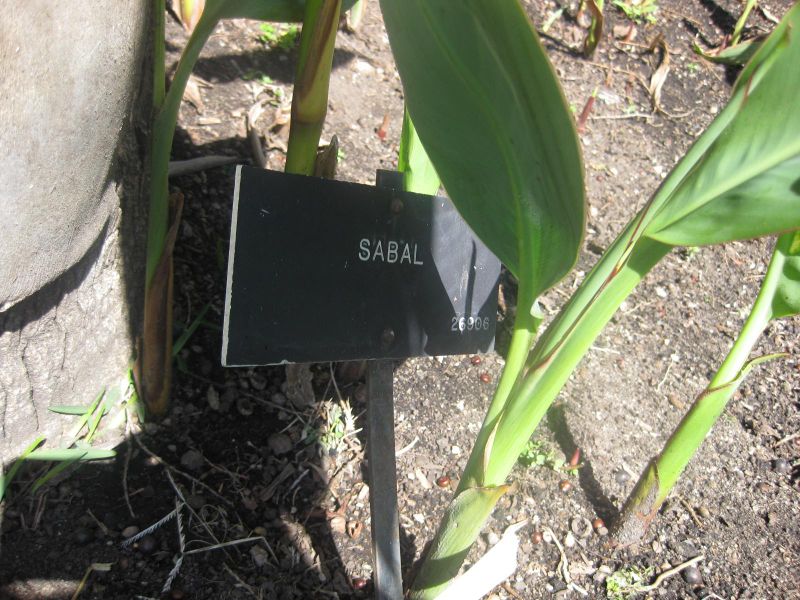 File:IMG 2110 hunt0903.jpg