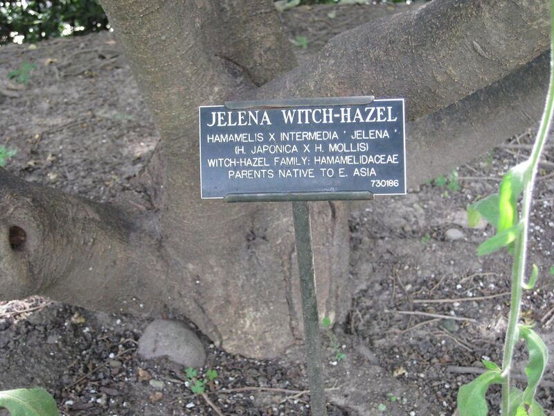 File:1280px-IMG 0639 bbg09.jpg