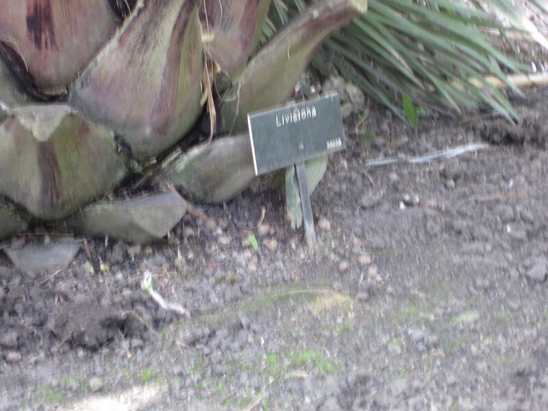 File:1280px-IMG 4142 hunt0904.jpg