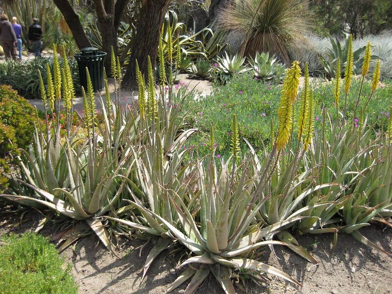 File:1280px-IMG 4230 hunt0904.jpg