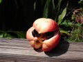 Thumbnail for version as of 12:11, 10 November 2007