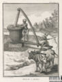 Oil being extracted from mustard seeds