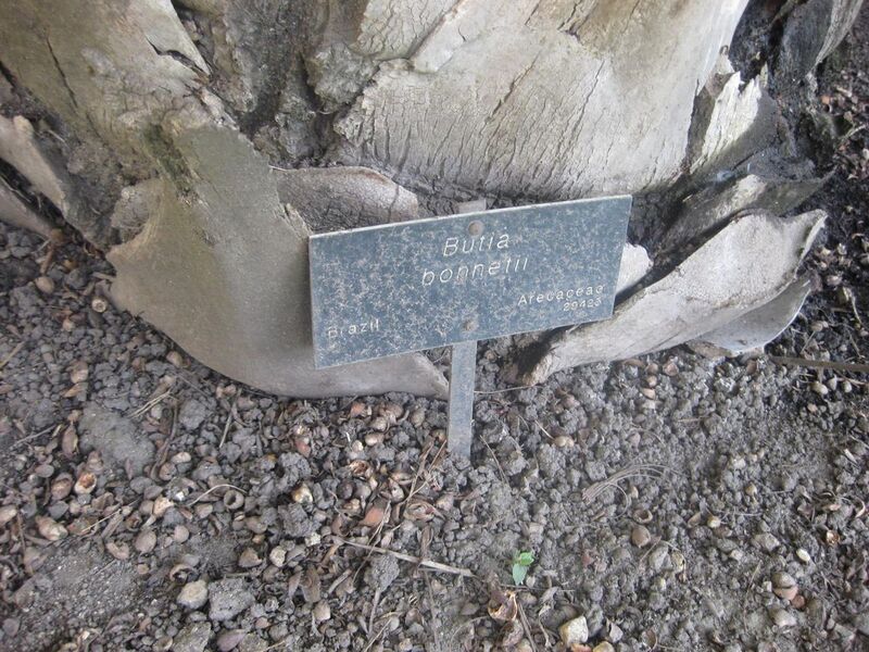 File:1280px-IMG 2121 hunt0903.jpg