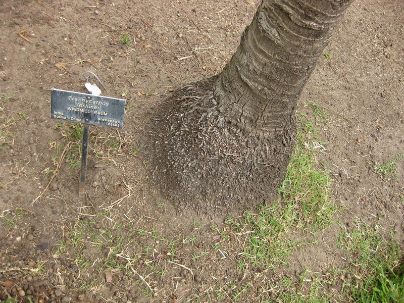 File:1280px-IMG 4045 hunt0904.jpg