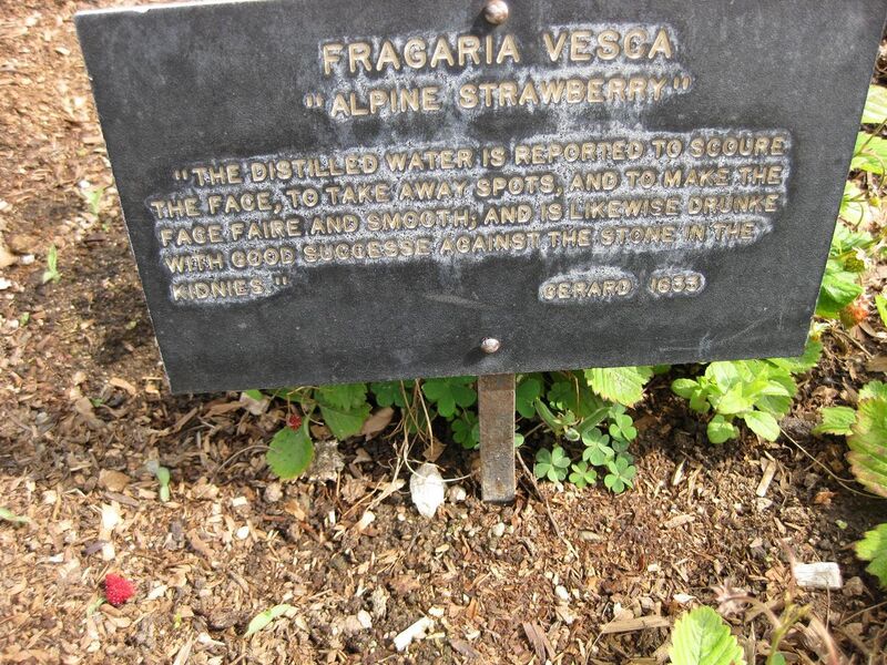 File:1280px-IMG 5312 hunt0904.jpg