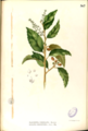 Thumbnail for version as of 09:08, 29 April 2025