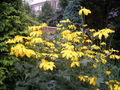 Thumbnail for version as of 10:14, 14 April 2007
