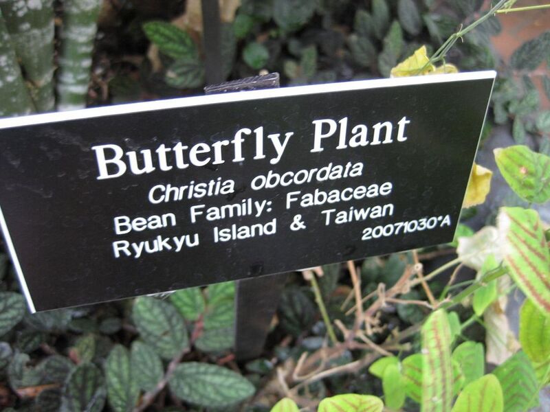 File:1024px-IMG 0970 bbg09.jpg