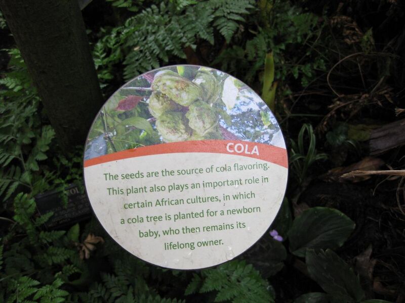 File:1280px-IMG 1124 bbg09.jpg