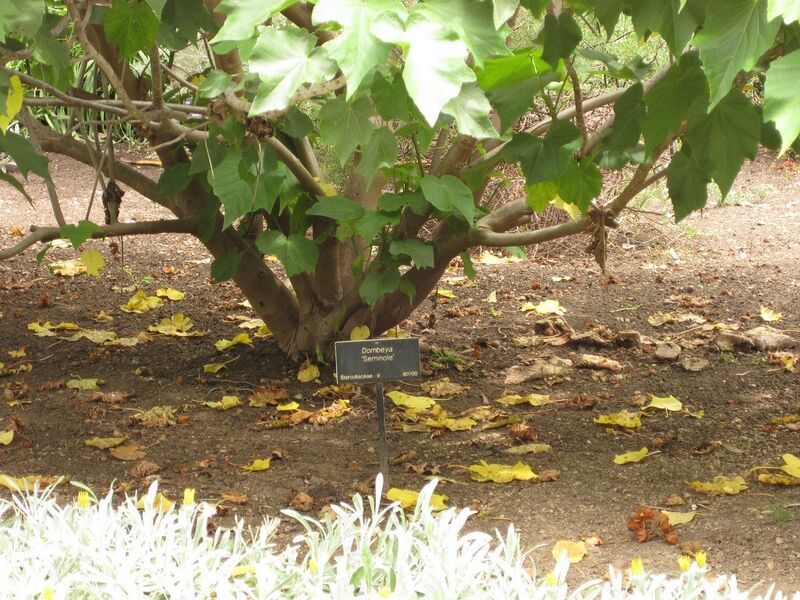 File:1280px-IMG 7173 hunt09jun.jpg