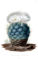 Thumbnail for version as of 09:02, 29 April 2025