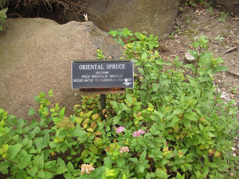 File:1280px-IMG 1398 bbg09.jpg