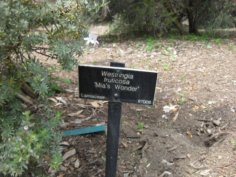 File:1280px-IMG 4523 hunt0904.jpg