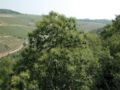 Middle Rhine Valley, Germany