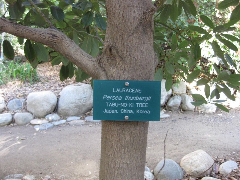 File:IMG 2443 ucla09.jpg